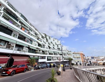 Sunset & Ocean Views | Beachfront Apartment
