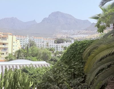 Bright 1BR with Views & Pool | Fañabé Beach