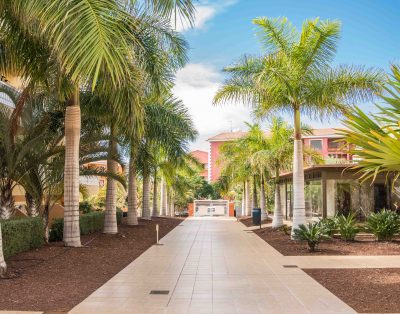 Bright apartment in Primavera PM120