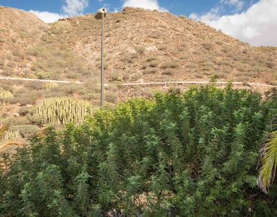 Wonderfull apartment in Palm Mar PM109