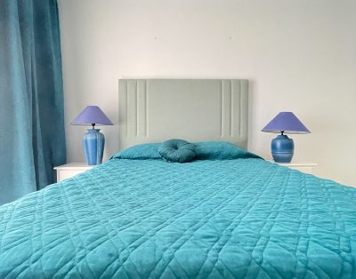 Villa with private swimming pool First line CS93