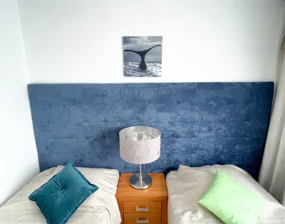 Villa with private swimming pool First line CS93