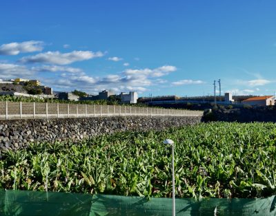 Alcala Cozy Apartment