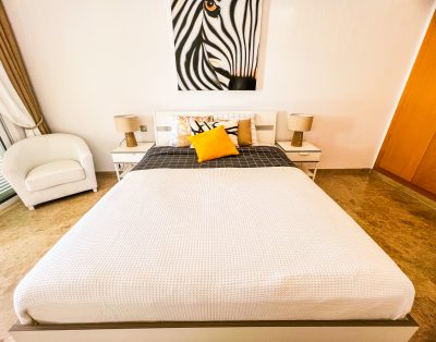 Fantastic Ocean View Apt, AC! Parking! Terrace! PA/86